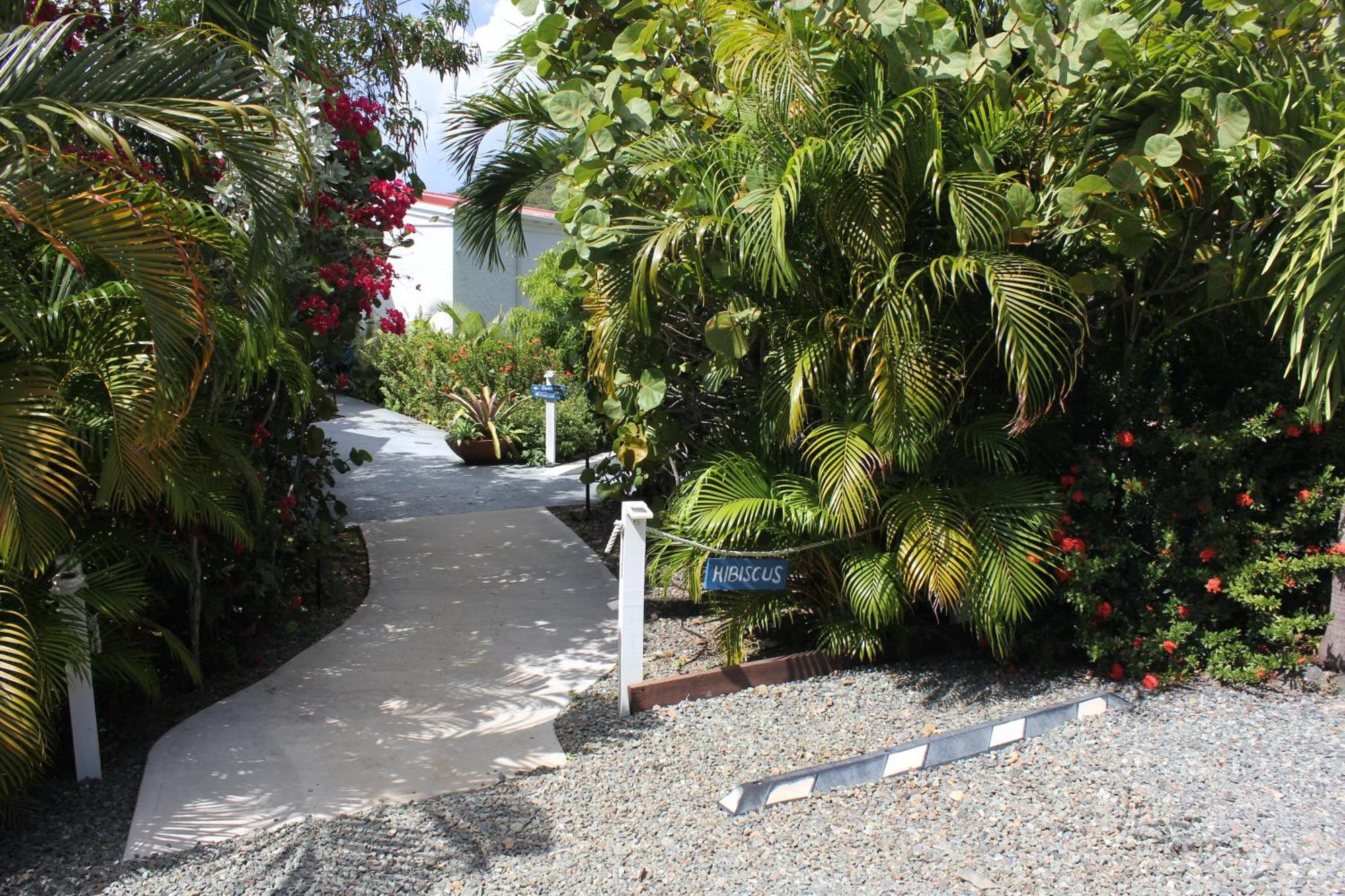 Fantastic Penthouse At Sunset Serenade Suites Cruz Bay Εξωτερικό φωτογραφία